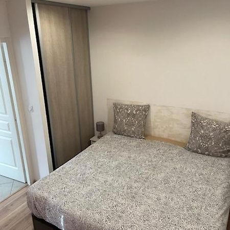 Appartement Oasis Proche De Lyon Groupama Lcdl Meyzieu Luaran gambar